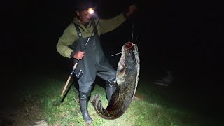 Рыбалка на сома ночью