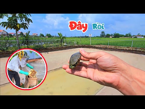 ผลสลากกินแบ่งรัฐบาล วันที่ 1 พย. 2567