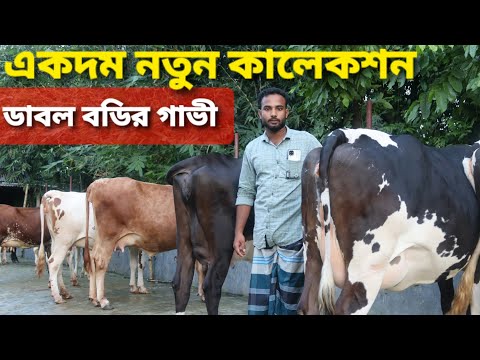 ভিডিও: ঘোড়া এবং গাভীর জন্য বার্থিং মরসুম - ফার্মে জন্ম