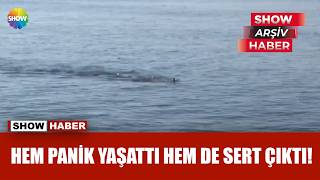 Boğuldu Sandılar Meğer Balık Peşindeymiş Show Arşiv Haber 2.8.2017