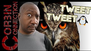 Birds Be Like