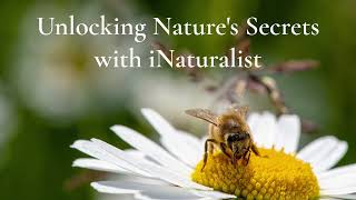 Unlocking Nature's Secrets with iNaturalist