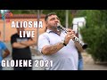 Aliosha  ork tangra folk  live narodno glojene 2021