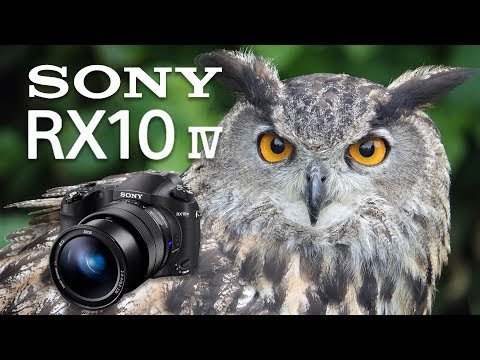 Sony RX10 Mk IV Review: Ultimate Fixed Lens Camera!
