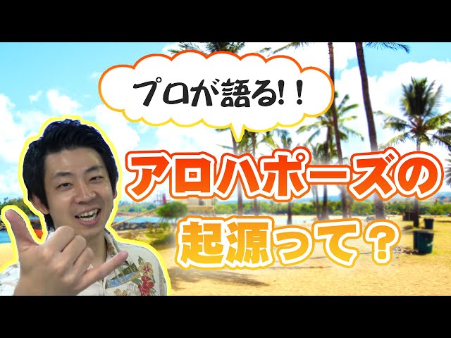 アロハ サイン sddefault.jpg