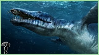 What If The Liopleurodon Didnt Go Extinct?