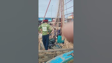 shorts nguy hiểm tàu cá vô cửa biển bị gãy chân vịt  #beach