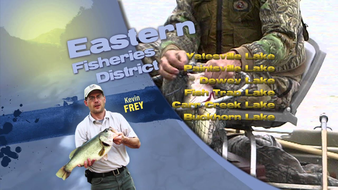 fishing report cape cod Fishing Report for late November, 2014