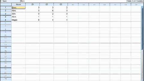 atomictraining.com | SPSS 19 Training - Switching between Data and Variable views