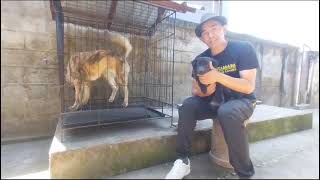 Mengatasi AKB suka mengigit-gigit barang kita