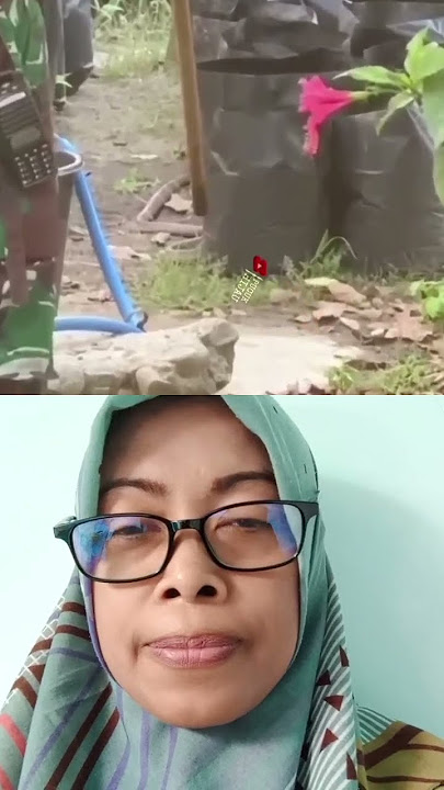 Mo dipatok cobra #army #tnidihatirakyat