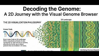 2D Visualisation of Genomes using the Visual Genome browser screenshot 1