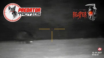 Predator Tactics Coyote Reaper IR lights them up