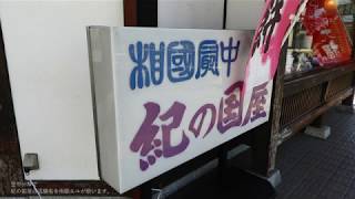 空中分解で紀の国屋の店舗名を雨歌エルが歌います。