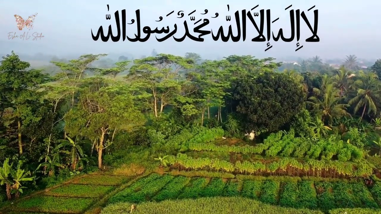 Middle eastern music 