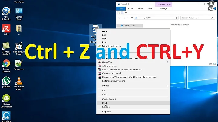 Ctrl + Z and Ctrl+Y : How to use the Redo shortcut (Ctrl+Y or F4) and the Undo shortcut (ctrl+z)