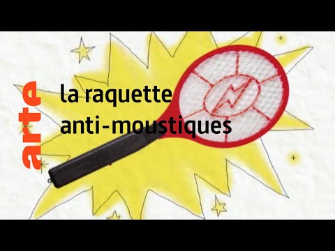 Vidéo: Quand la première tapette à mouches a-t-elle été fabriquée ?