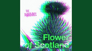 Flower of Scotland