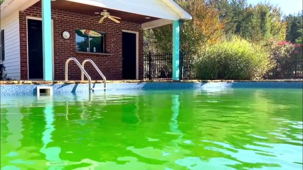 HTH 67032 Super Algae Guard Swimming Pool Algaecide Cleanser YouTube