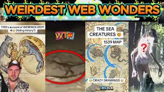 weirdest web wonders vol 372