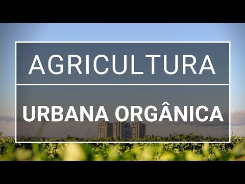 Vídeo: O que é agricultura urbana: conheça os benefícios da agricultura urbana
