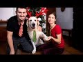 What Does Preparing for CHRISTMAS Look Like with My Dog!