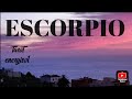 ESCORPIO 😎Tienes que escribir un libro! 😎#horoscopo #escorpio #escorpiosemanal