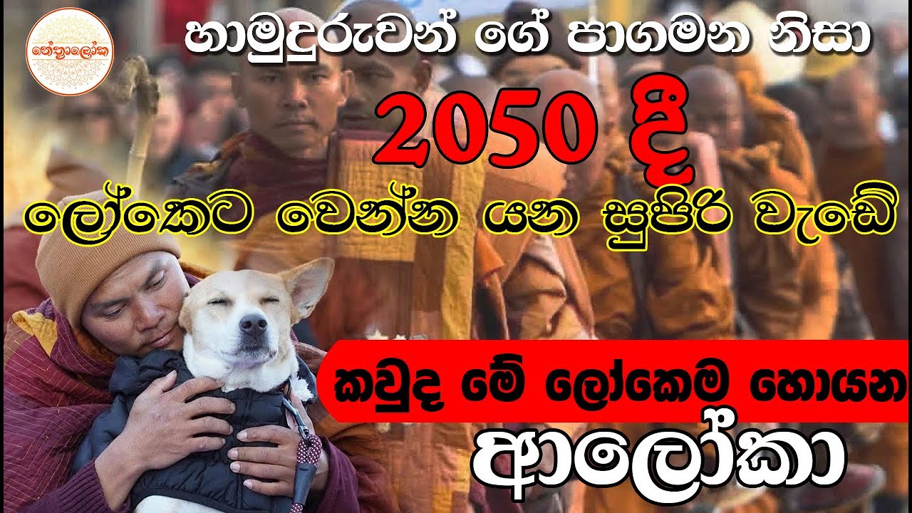 2050 දී සැබෑ වෙන අනාවැකිය​ - Buddhist monks reunite with rescue dog during peace walk