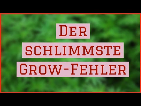 Video: DIY Pflanzenwachstumsstimulanzien