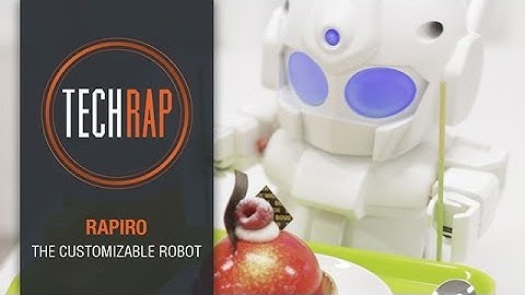 TechRap: Rapiro the customizable robot