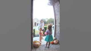 Missing Lizard Found in Little Girl's Hair!