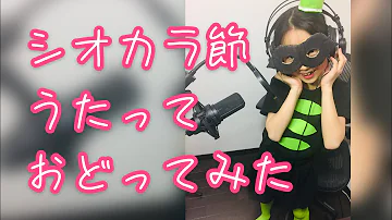 シオカラ節 踊ってみた シオカラ節 踊ってみた