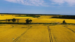 Калининградская область весной