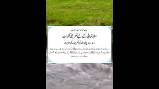 Islamic Status15 Shorts