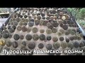 Пуговицы Крымской войны(1853-1856) | Buttons of the Crimean War (1853-1856)