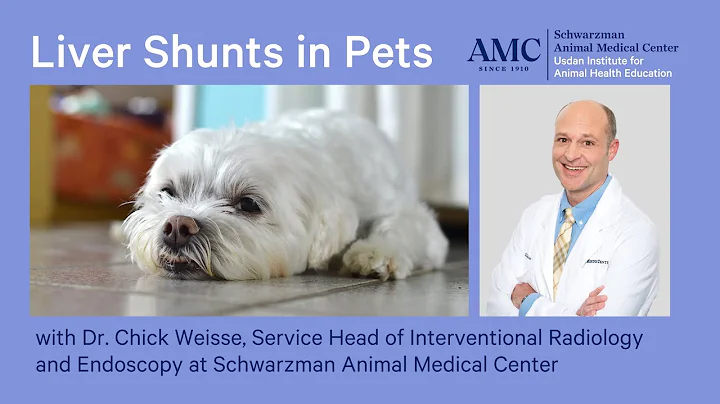 Liver Shunts in Dogs and Cats with Dr. Chick Weisse