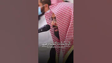 ما تيسر من سورة فاطر القارئ الشيخ ناصر القطامي القرآن الكريم المصحف ناصر القطامي سورة فاطر لايك 