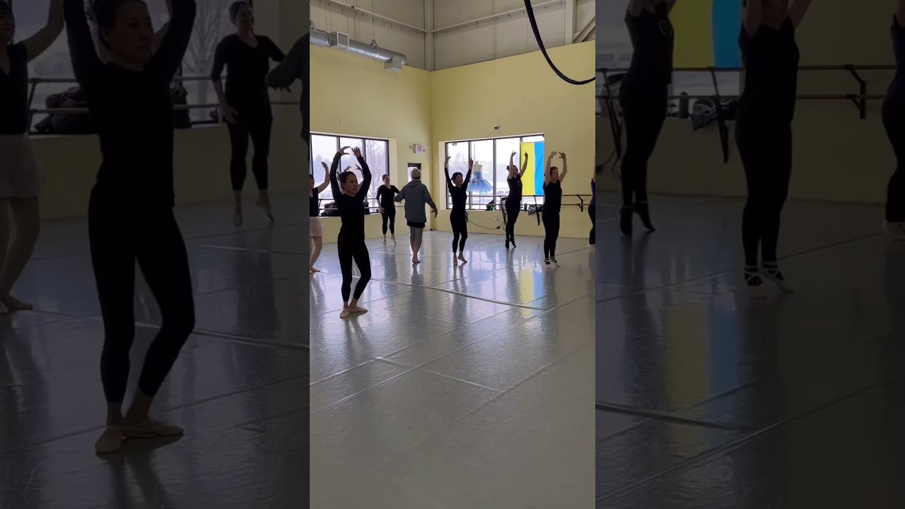 MBS- Adult Ballet Class/Beginners