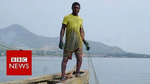 Is China's fishing fleet taking all of West Africa's fish? - BBC News - DayDayNews