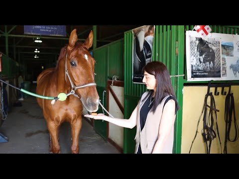 \"ელექსირი\" საცხენოსნო სპორტის მხარდამჭერია.