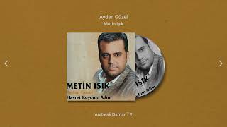 Metin Işık - Aydan Güzel