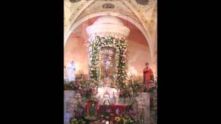 Mi Pueblo Querido Los Tigres del Norte