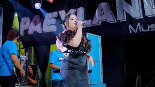 Download Lagu PAELAND MUSIC - SUMPAH BENANG EMAS - NINDA FAHREZA - WEDDING ADELA \u0026 HERY - KEBEN SOCO MP3