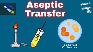 Aseptic  Transfer | Microbiology Lab