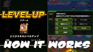 HOW THE NEW LINK SKILL SYSTEM WORKS EXPLAINED! | Dragon Ball Z Dokkan Battle