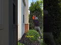 Satisfying Gardening Work🌳#garden #satisfying #cleaning #grass #lawn #viral #fyp #trending #811