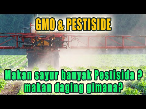Video: Mantan Peneliti GMO: 