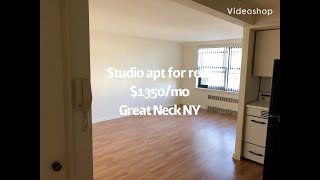 Great Neck, Long Island, Rental Previewing Studio In Great Neck 1350