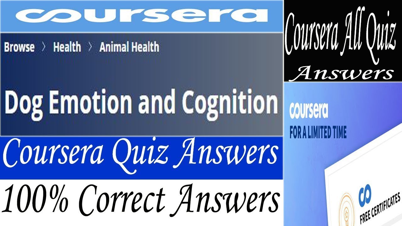 Coursera Dog Emotion And Cognition www.youtube.com