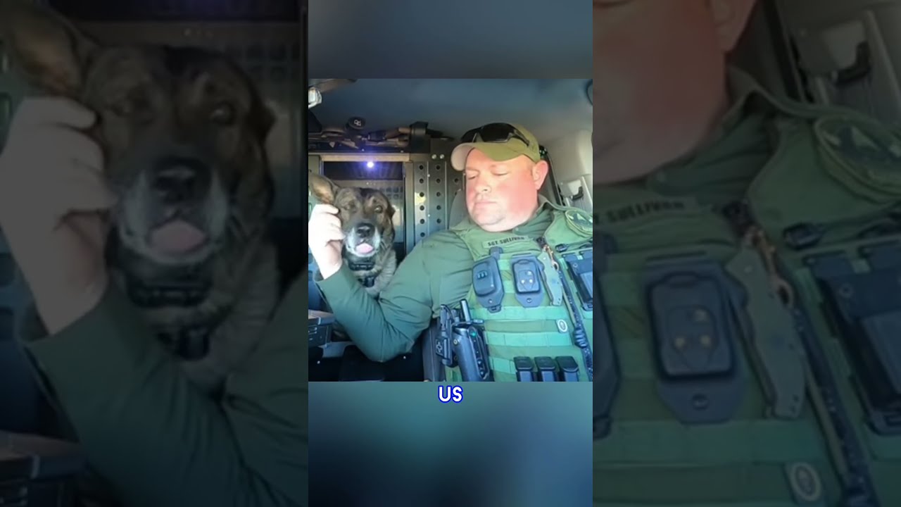 K9 Indy Retires After 9 Years Of Dedicated Service
